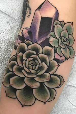 2017 #succulents for appointment info email me at toriewartooth@gmail.com 