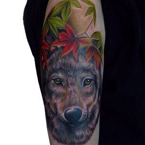 Wolfie surrounded by autumn leaves. #wolftattoo #colourtattoo #colourrealism #animaltattoo #realistictattol #nature #wolf  