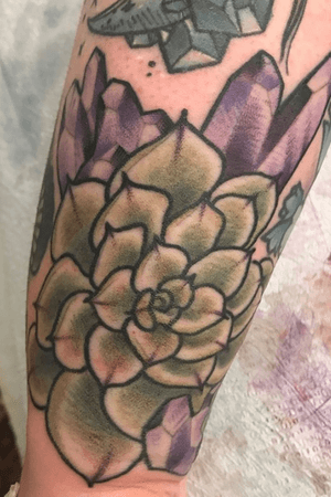 2018 #succulent for appointment info email me at toriewartooth@gmail.com 