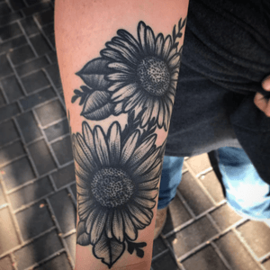 Healed tattoo ... Instagram @mikesin_ontherun ... message for appts ... #healedtattoo #sunflowers #sunflowertattoo #blackwork