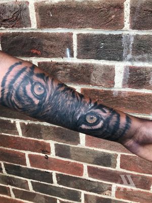 Get a fierce and detailed tiger tattoo on your forearm, done in black and gray realism style by tattoo artist Alex Santo.