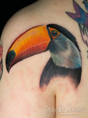 Adorn your shoulder with a stunningly detailed toucan in colorful realism by artist Alex Santo.