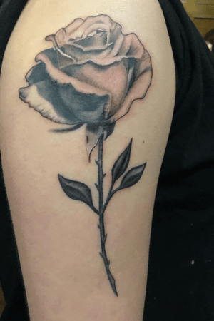 Black and grey rose