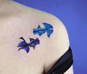 Fish tattoo by SooSoo of Studio by Sol #SooSoo #StudiobySol #Seoul #Seoultattooartist #Koreantattooartist #Korea #fish #color #shoulder
