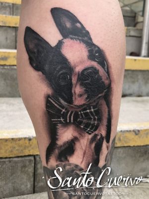 Experience the lifelike beauty of a dog in stunning realism, inked by the talented artist Alex Santo on your lower leg.