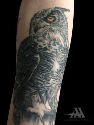 Stunning black and gray owl tattoo on forearm by Alex Santo, showcasing incredible realism.