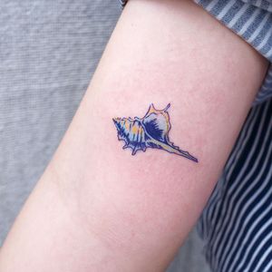 Seashell tattoo by Lit of Studio by Sol #Lit #StudiobySol #Seoul #Seoultattooartist #Koreantattooartist #Korea #seashell #conch #shell #nature #ocean #color #arm 