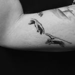 Il creazione di Adamo #creazionediadamo #creationofadam #sistinechapel #michelangelohands #Michelangelo #art #arte #operadarte #tattoo #tattoos #minimal #minimalart #minimaltattoos #tattooartist #tattooart #bishop #bishoprotary #thessaloniki #greece 