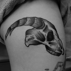 • 死んだ動物 - Thanks Inbal ! • × Done at @boldlines_tattoos ×