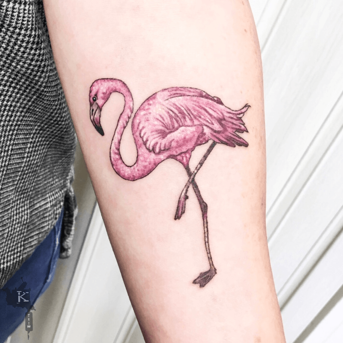 plastic flamingo tattoo shop tinyTikTok Search