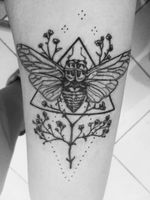 #linework #floral #insects 