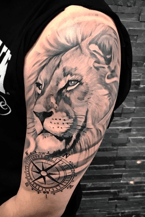 Black and grey  Lion 
