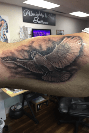 Black and grey dove on the inner bicep!!!! 