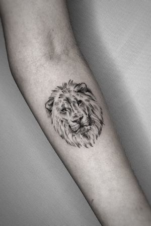 Lion • @thekaosconceptattoo