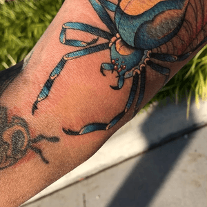 Neo traditional spider on inner arm. Time was about 4.5 hours