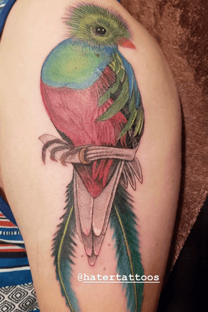 Quetzal I did on a friend thanks for looking