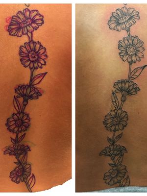 Freehand daisies on spine. Time was about 2.5 hours