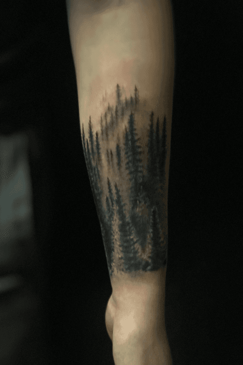 #forest #blackandgrey #woods #realism #realistic #trees #pine