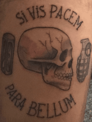 Si vis pacem para bellum: If you want peace, prepare for war