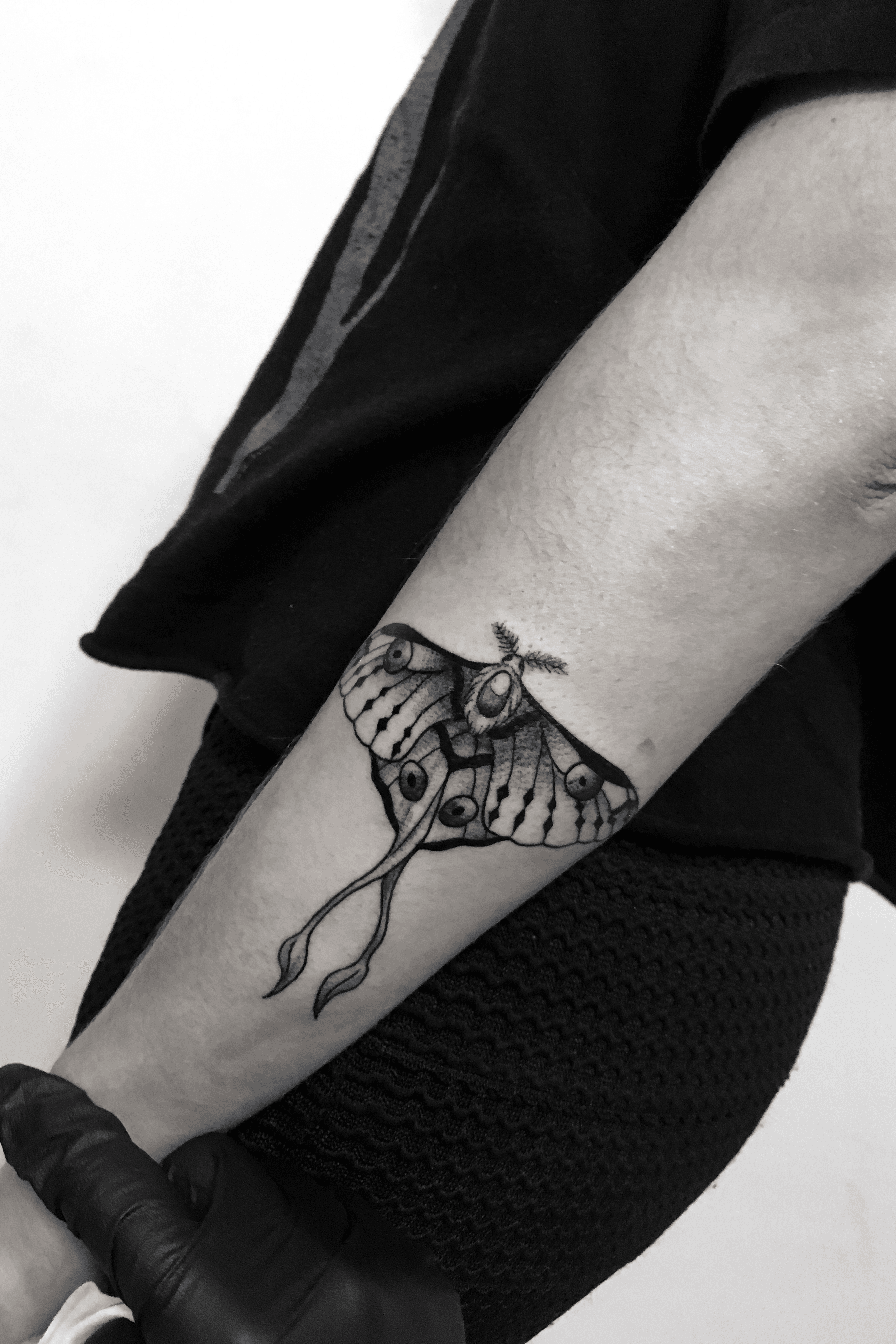 The Serene Spirit Guide Moth Tattoos Tattoodo