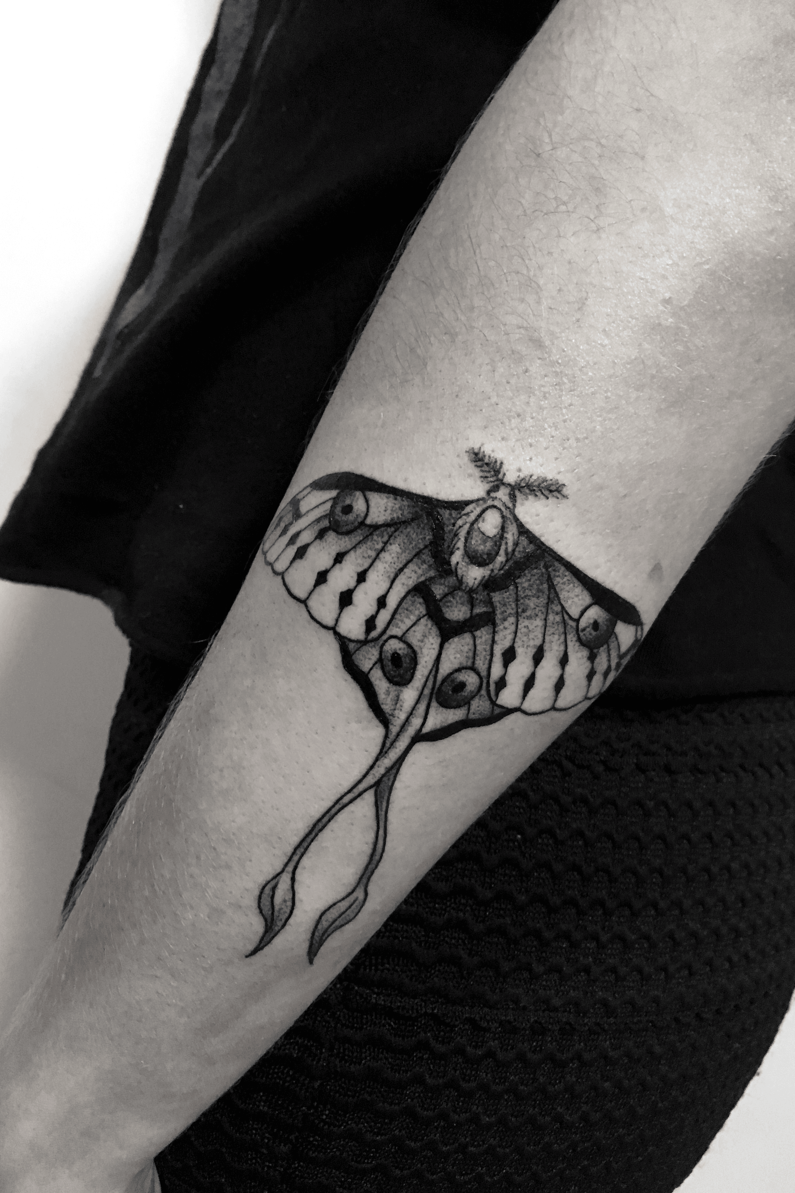 Comet moth by Tomi Ink Couture Tattoos in San Antonio TX  rtattoos