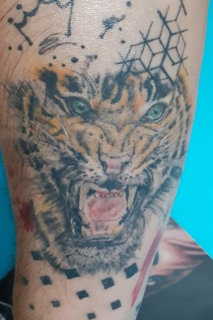 Tiger Heald-Cicatrizada