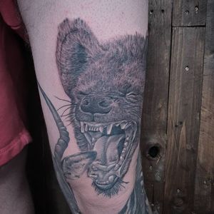 Animal leg sleeve I'm working on .Hyena fresh☆#tattoo #tattoo #hyena #hyenas #zebra #animals #animaltattoos #hyenatattoo #zebratattoo #blackandgreytattoo #blackandgreytattoos #bngink #bngsociety #bnginksociety #lostsoulsociety #magnumtattoosupplies #truegent #truegentcartridges #killerinktattoosupplies #killerinkcartridges #silverback #silverbackink ##inkjectanano #lionking #tattoolife #tattooidea #tattooartistmagazine #tattooart #tattoodo  @ Lost Soul Society Tattoo