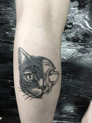 CatGuadalajara, México.Www.facebook.com/roxxaiin Instagram:@rz_tattoo#cat #gato #cattattoos #gatotattoo #linework #animals #realistic #mexicanink #inked #guadalajara #roxxaiin 