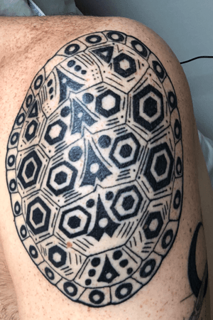 Terrapin turtle shell on my left shoulder. 
