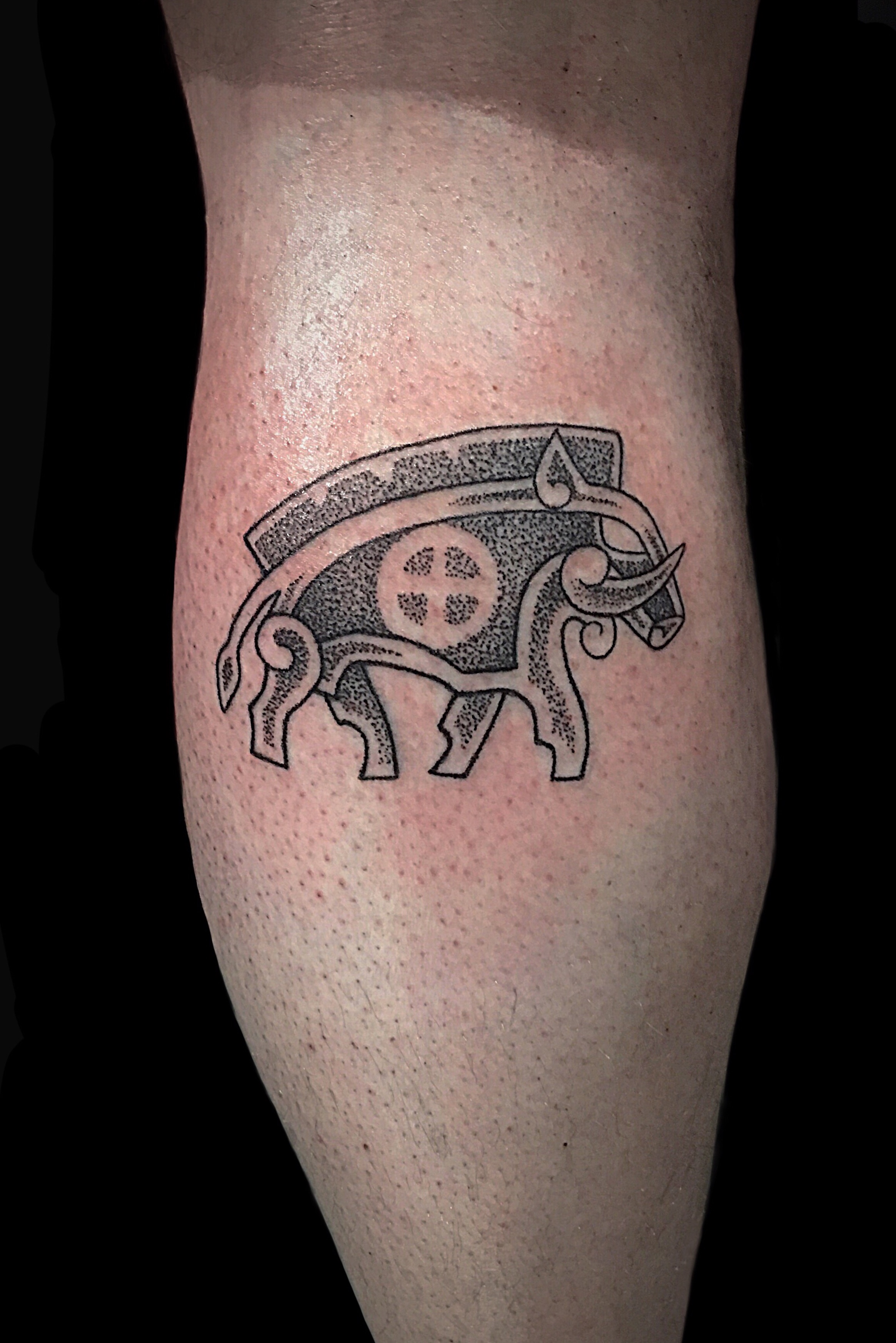 Since boar tattoos are the next big thing heres mine  rNorse