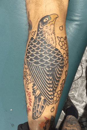 Japanese hawk/ cover up on large tribal sublime sun. Tattoo byJohn Biswell 