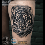 Black and grey Tiger tattooed at Needle Art Tattoo (Netherlands). 😊🙏🏻 ARTISTICA TATTOO SINGAPORE 74A Dunlop Street #02-00 Singapore 209402 ☎️ +65 82222604 #tattoo #tattooed #tattoolovers #ilovetattoo #sgtattoo #singaporetattoo #singaporetattooartist #bodyart #nopainnogain #tiger #blackandgreytattoos #thightattoo #realistictattoo #guestspot #needlearttattoo #artistica #artisticatattoo #artisticasingapore #ericartistica #balmtattoo #balmtattoosg #balmtattoosingapore #balmtattooteamsg #balmtattooartist #dragonbloodbutter #quantumtattooink #nedzrotary #criticaltattoosupply #sparktattoocartridges