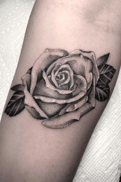 Fine line single needle tattoo. I love tattooing roses, if you want one shoot me a message. 🌹 #fineline #singleneedle #singleneedletattoo #dotwork #stippletattoo #singleneedlework #finelinework #singleneedletattoos #rosetattoo #roses 