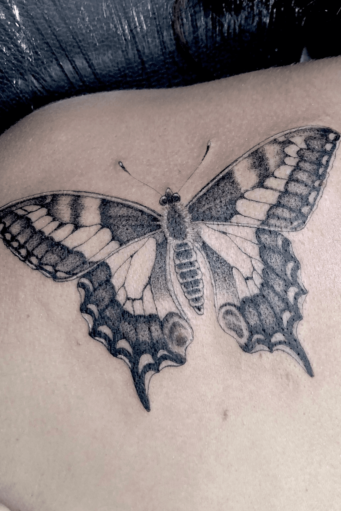 What Does a Butterfly Tattoo Mean Find Out More  After SYBIL