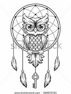 Owl sitting on dreamcatcher 
