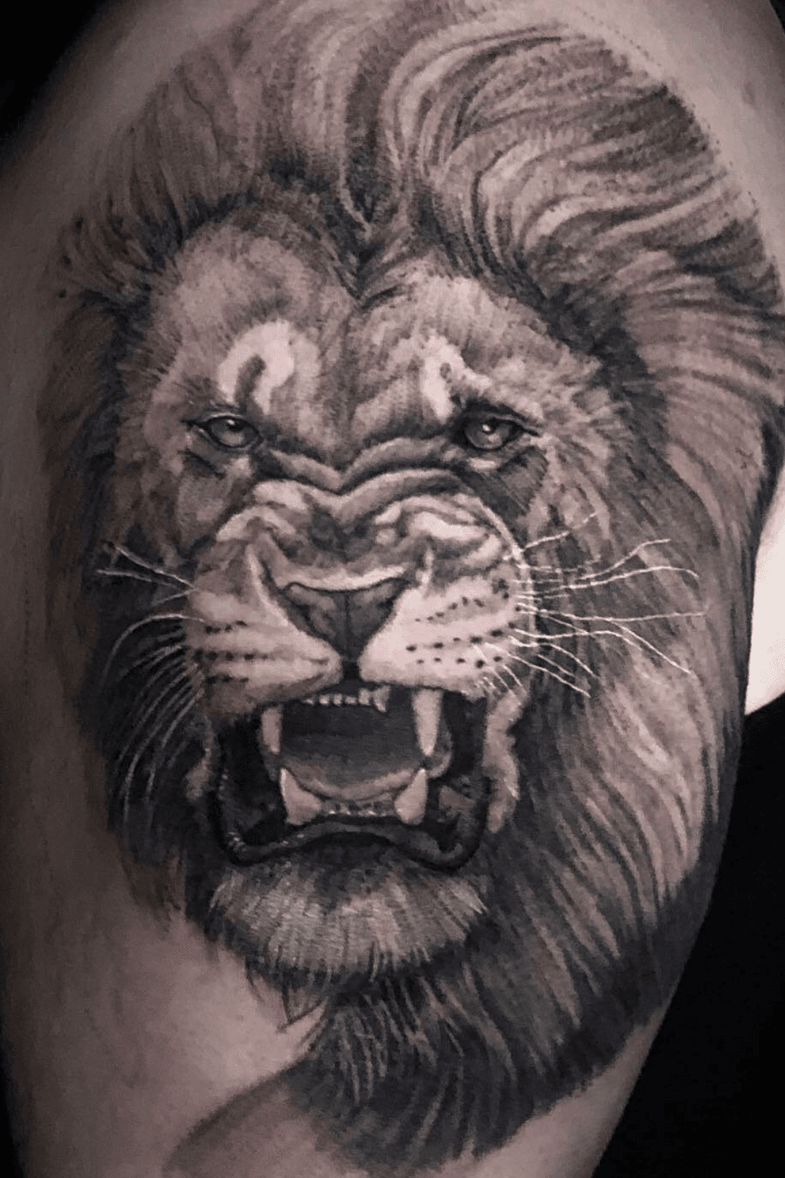 lion head tattoos on the back