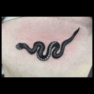 Tint snake piece..