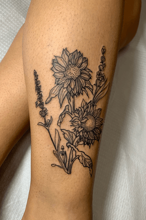 Illustrative sunflowers 