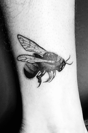 Bee tattoo - dotwork and blackwork