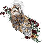 Barn owl available #procreate #flash #tattooflash #illustration #berlintattoo #berlinink #berlin #neotraditionaltattoos #neotraditional #available #newtraditional #colortattoo 