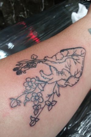 Anatomical heart outline with flowers
