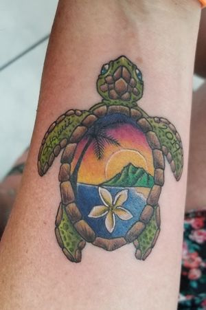 Color souveneer sunset turtle
