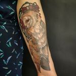 Barn Owl done while a guest at Eclipse Tattoo - Barcelona #owl #owltattoos #solidtattoos #neotraditionaltattoos #neotraditional #newtraditional #berlintattoo #berlin #berlinink #illustrationtattoo #colortattoo 