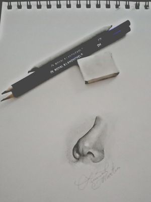 Just a little nose #blackandgrey #nose #nostrils #pencil 