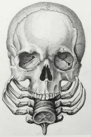Skull, Micron pen and Graphite, 8x10 #skulltattoo #blackandgrey #skull #fineart 