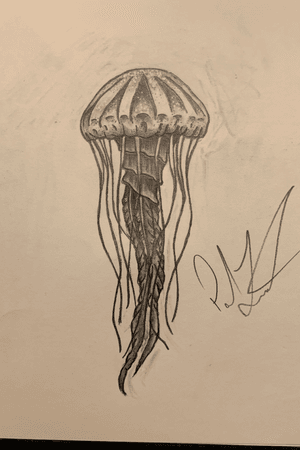 6 hour jelly fish drawing