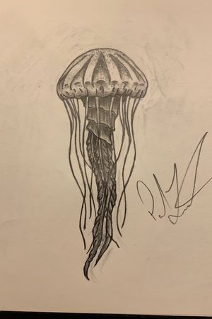 realistic jellyfish drawing