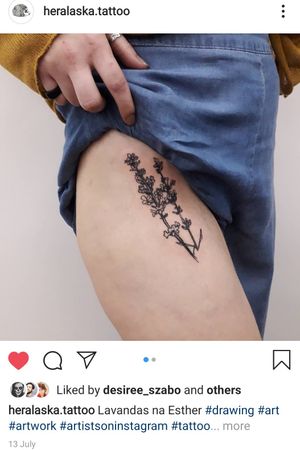 Lavender branch on upper thigh.August 2019 by @heralaska.tattoo#blackwork #blackworktattoo #floral #linework #botanicaltattoo 