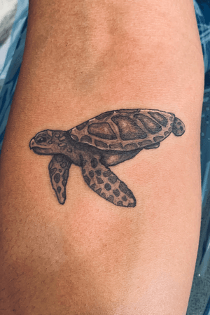 black grey sea turtle arm tattoo 
