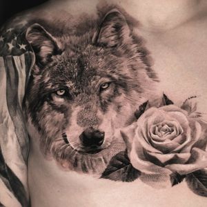 Wolf with rose
